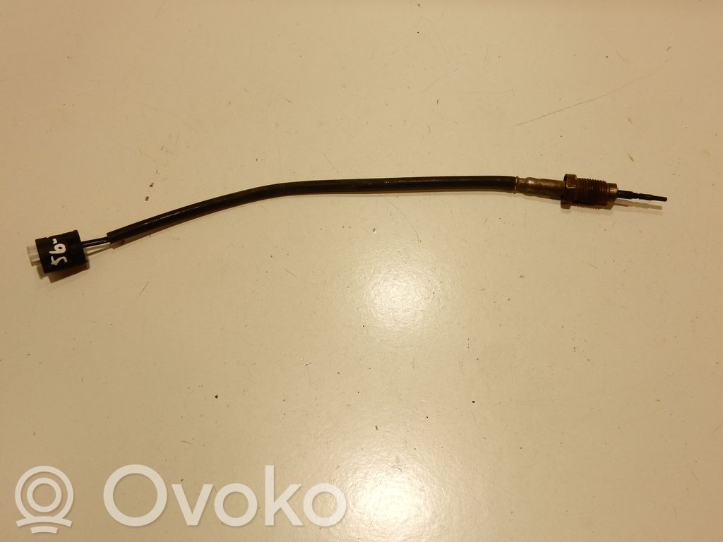 Abgastemperatursensor   7795174,56122
