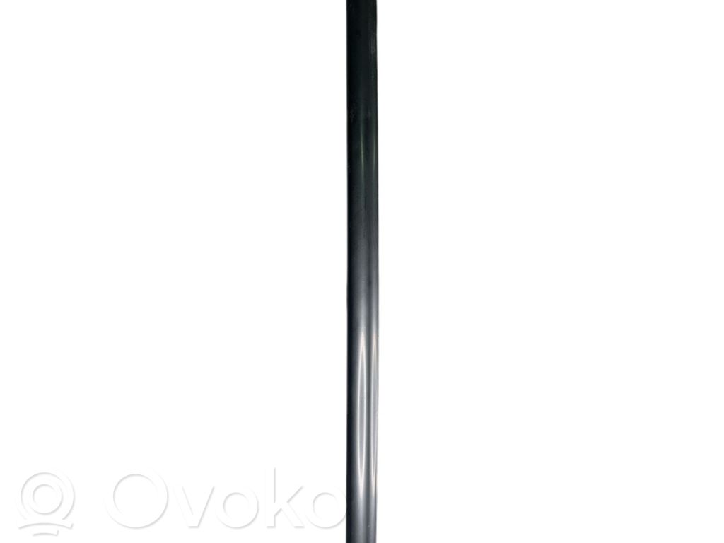 BMW 7 E65 E66 Rear door glass trim molding 