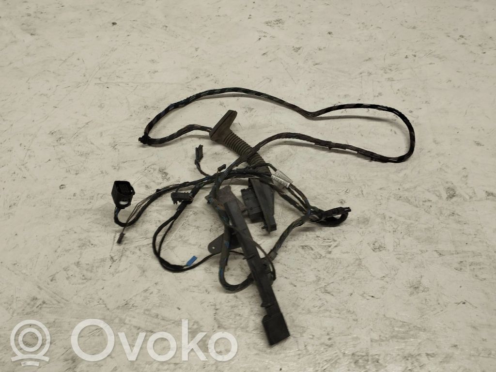 BMW X5 E70 Cableado de puerta trasera 