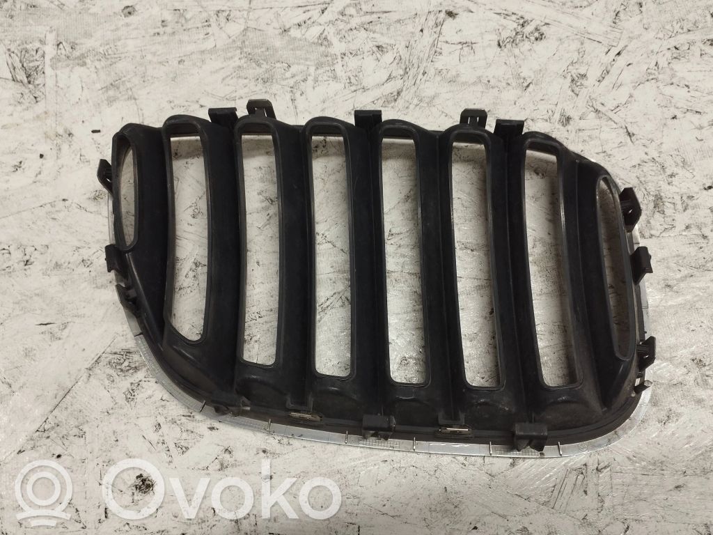 BMW X5 E53 Front grill 