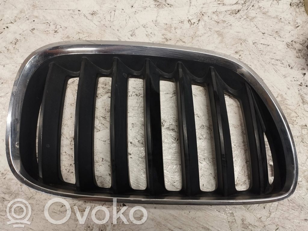BMW X5 E53 Front bumper lower grill 