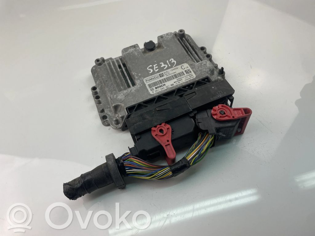 Ford Focus Engine control unit/module ECU 