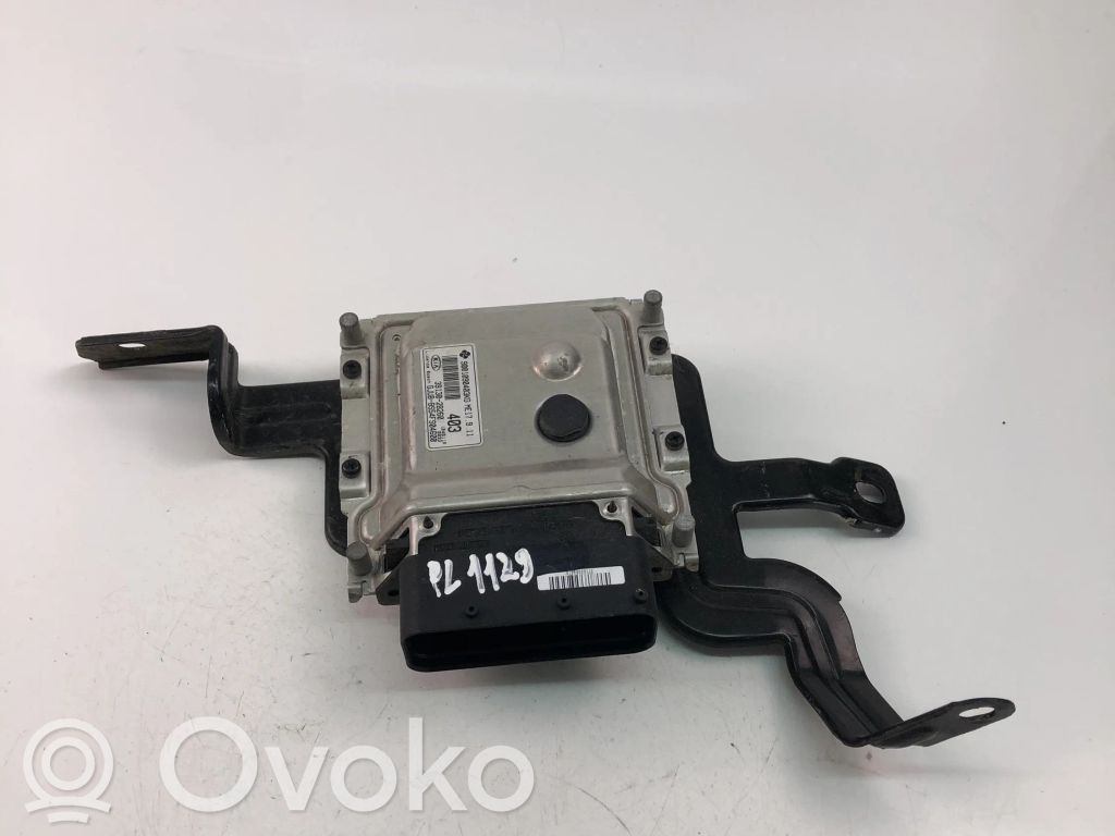 KIA Rio Engine control unit/module ECU 