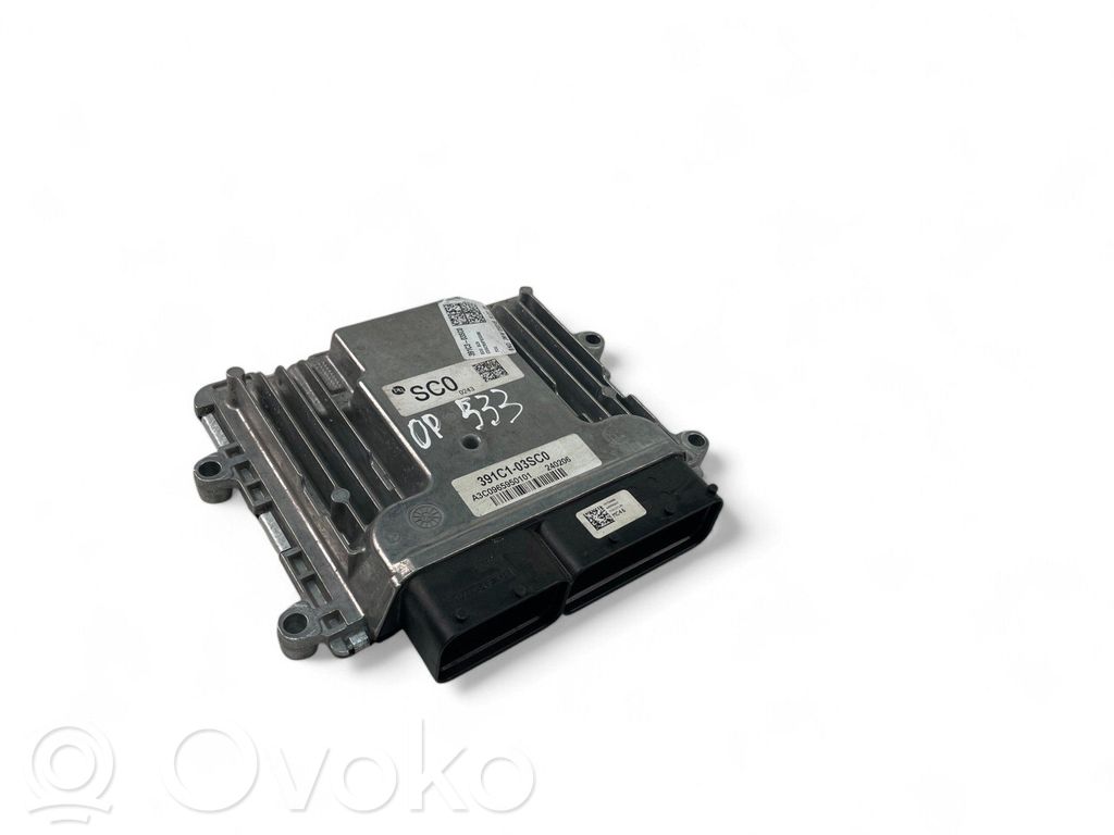Engine control unit/module ECU   3919803HC0,391C303SC0