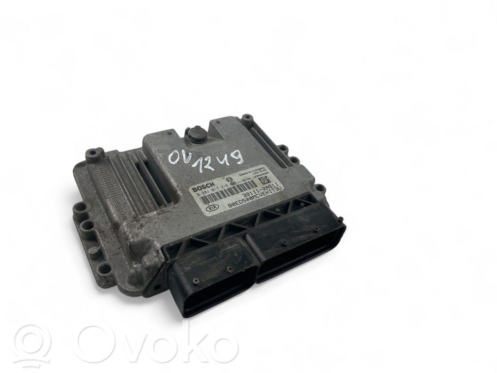 Engine control unit/module   391112A511,0281017216