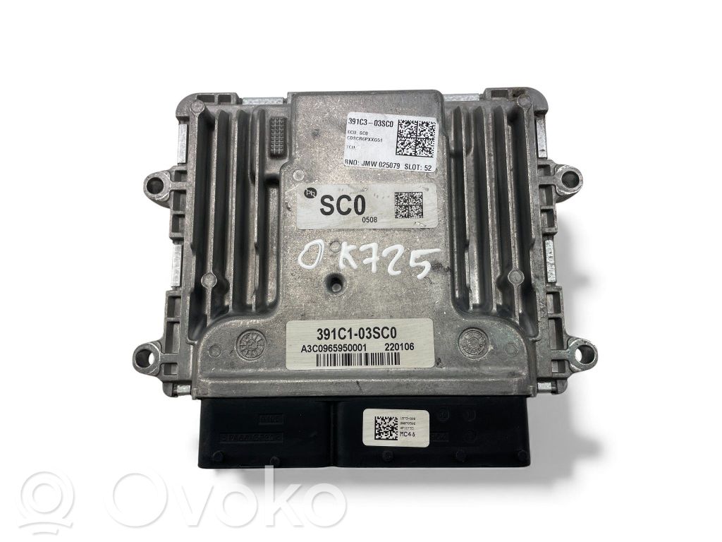 Engine control unit/module ECU   3919803HC0,391C303SC0