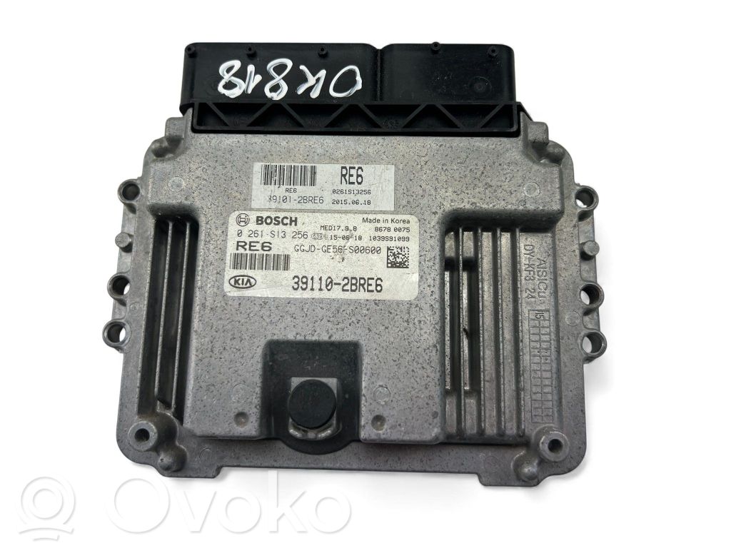 Unité de commande, module ECU de moteur   391102BRE6,0261S13256