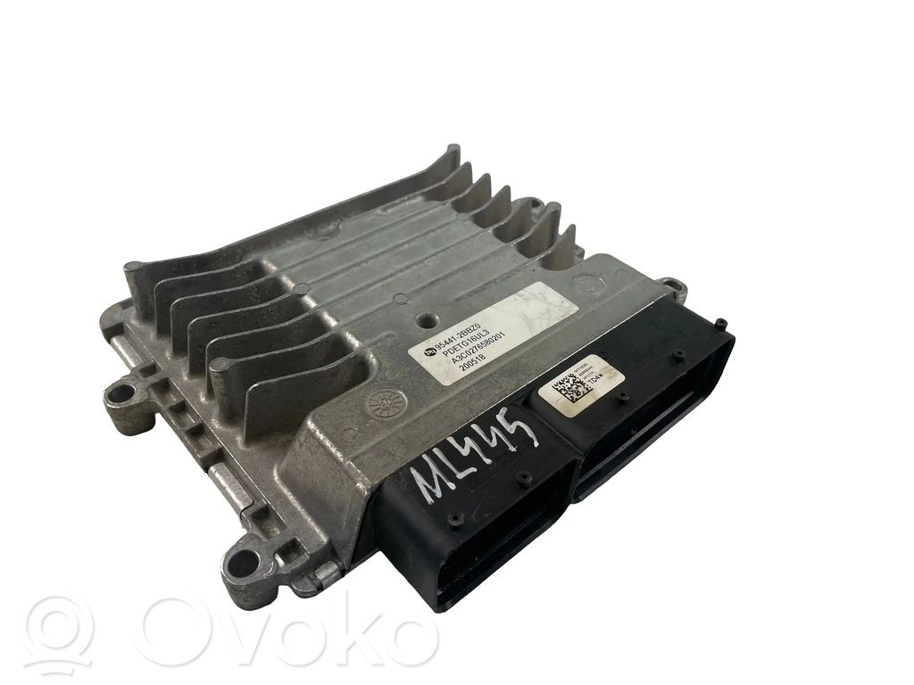 KIA Niro Engine control unit/module ECU 