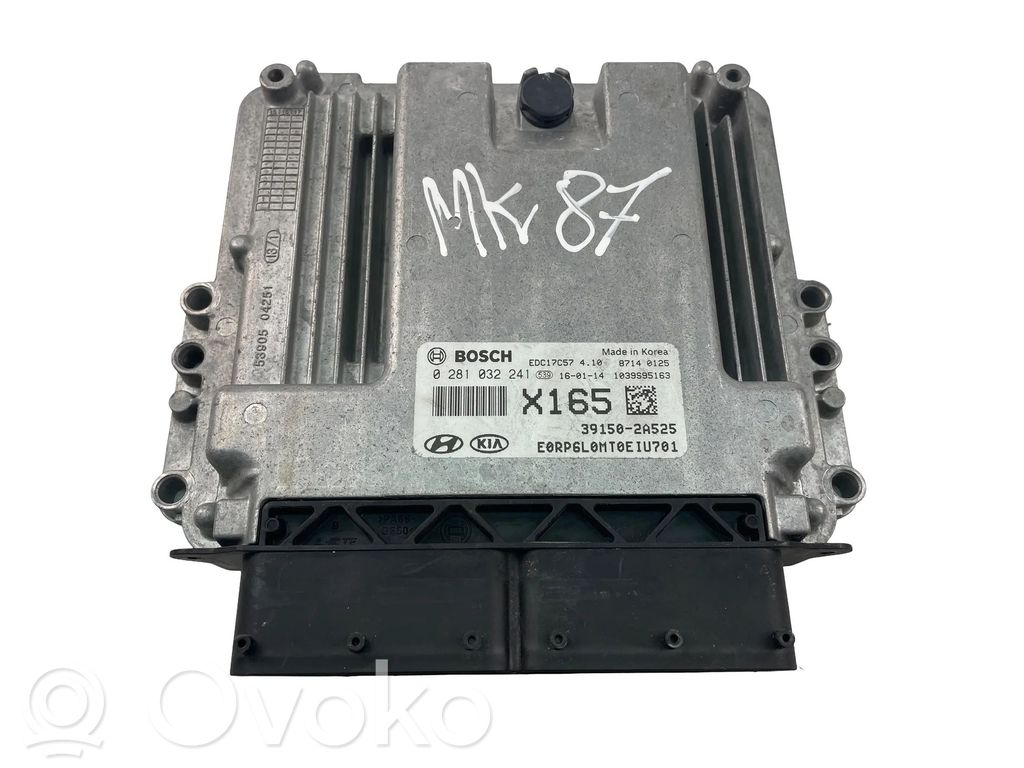 Engine control unit/module ECU   391502A525,0281032241