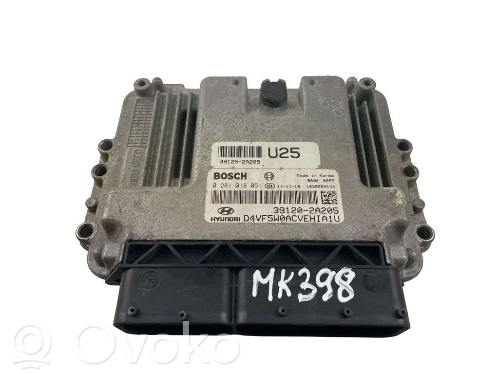 Engine control unit/module ECU   391202A205,0281018051
