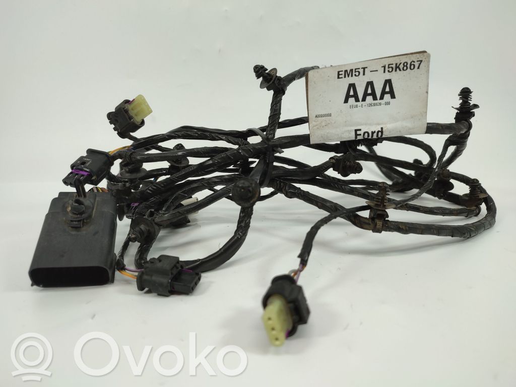 Sensore   EM5T15K867AAA