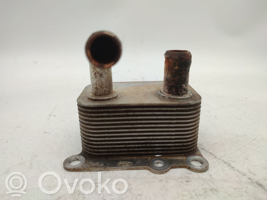 Ford Focus Ölkühler 