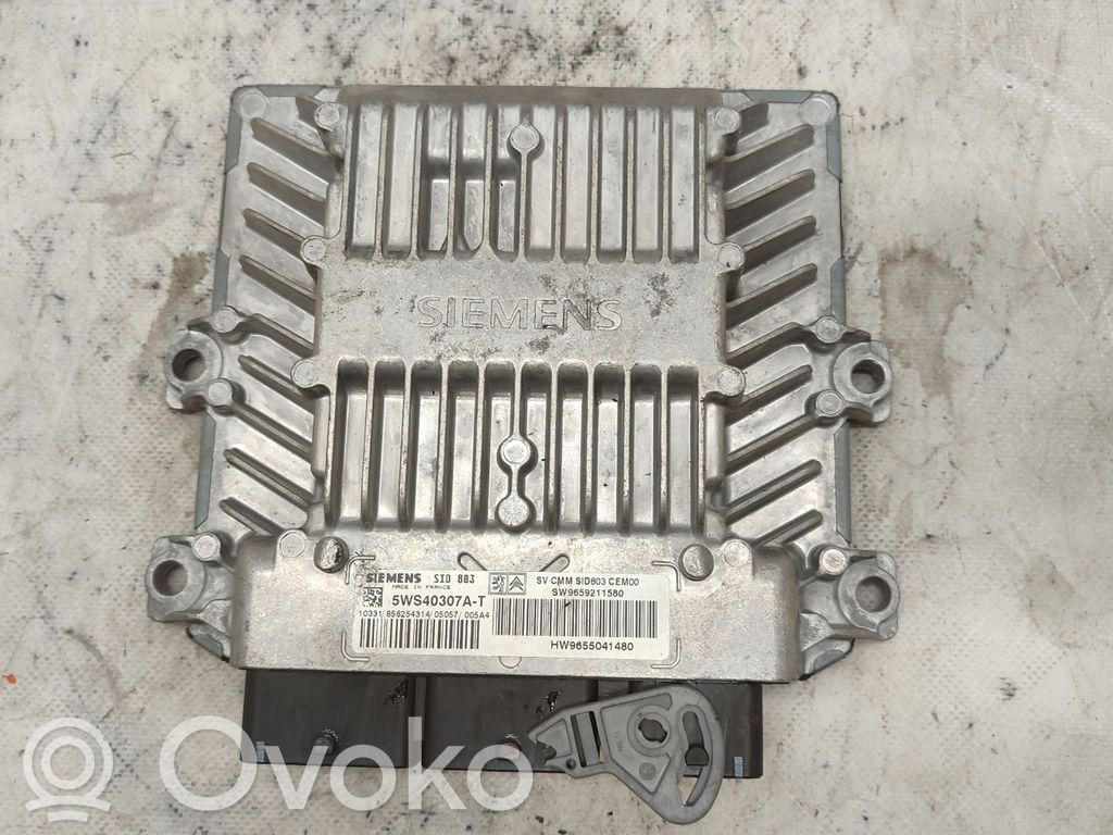 Galinės durys   9659211580