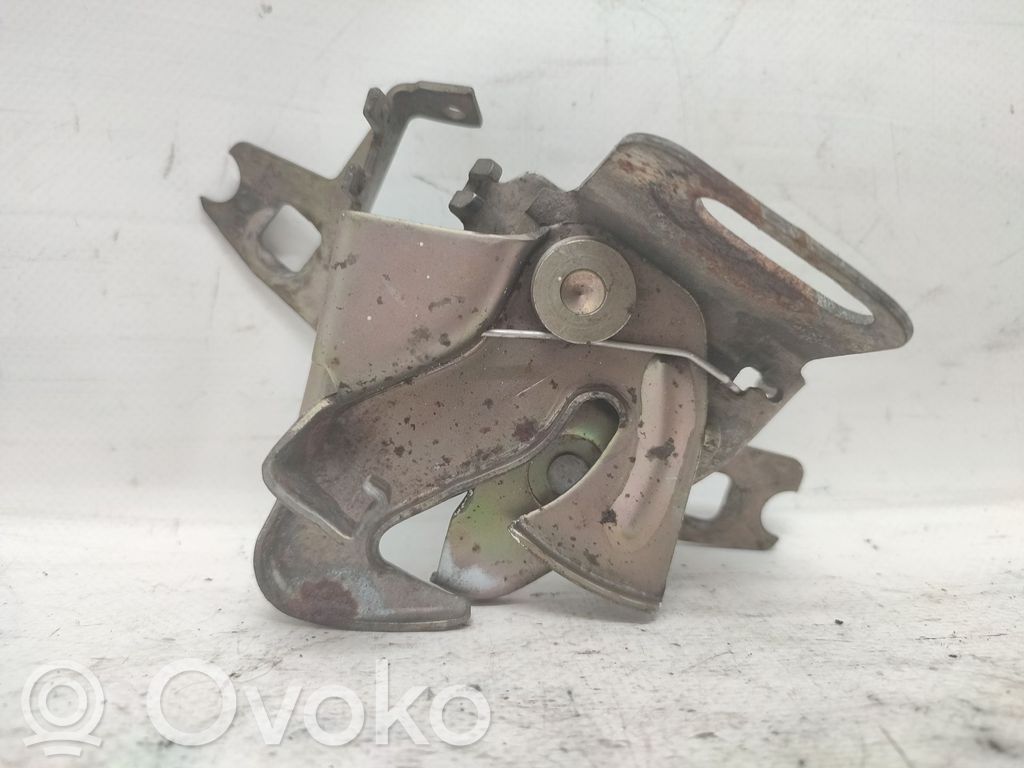 Tie down hook / loop   240496