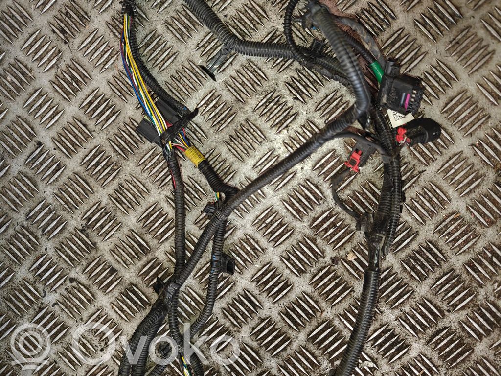 Otros cableados   206796802B,206796802B