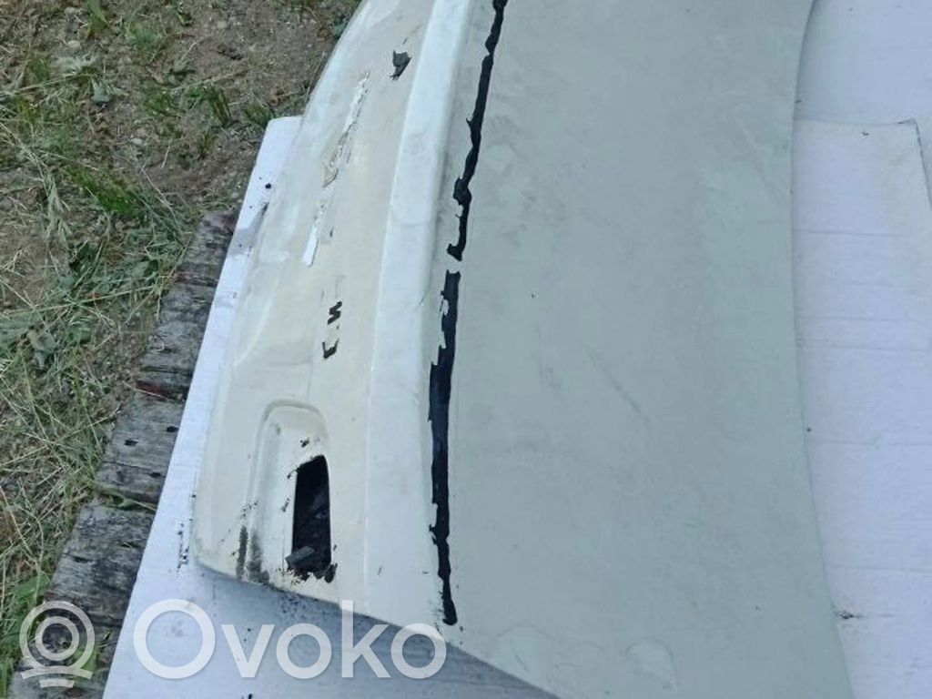 Tailgate/trunk/boot lid