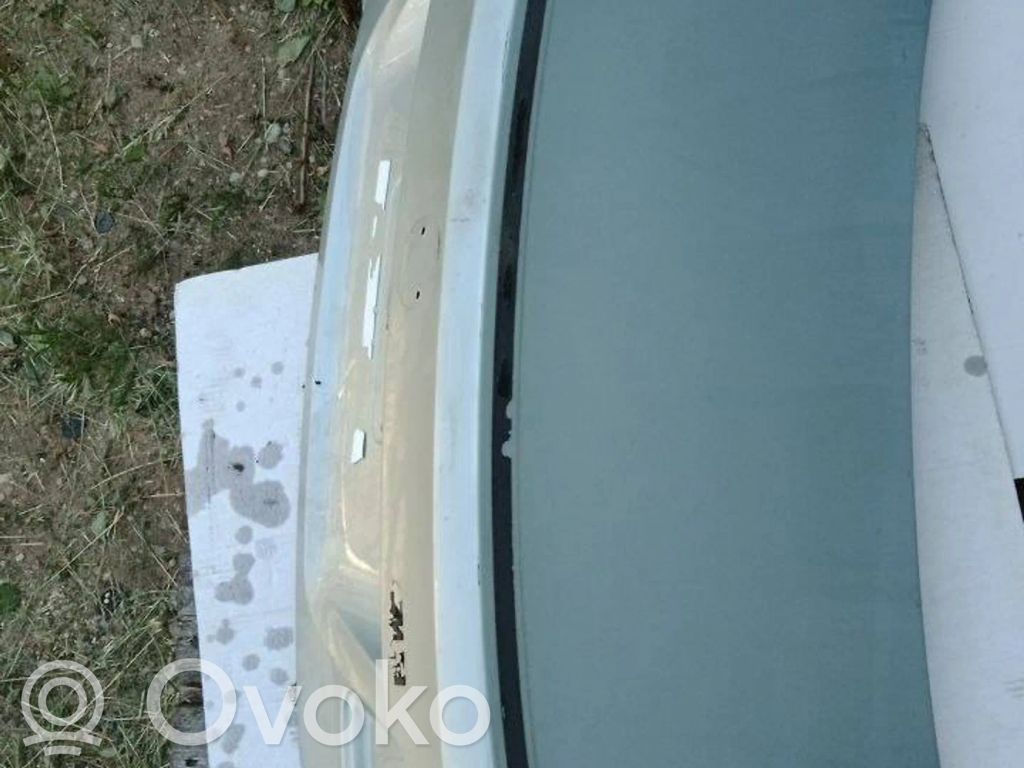 Tailgate/trunk/boot lid
