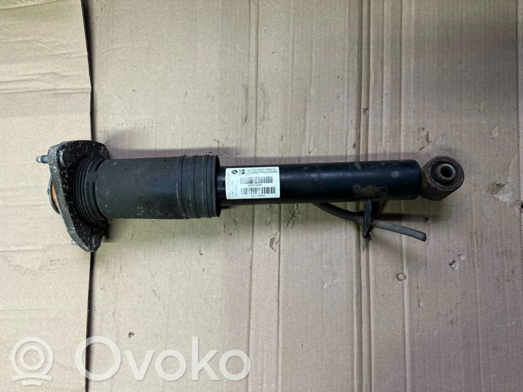 Stoßdämpfer hinten   6781926,22244964,14941510