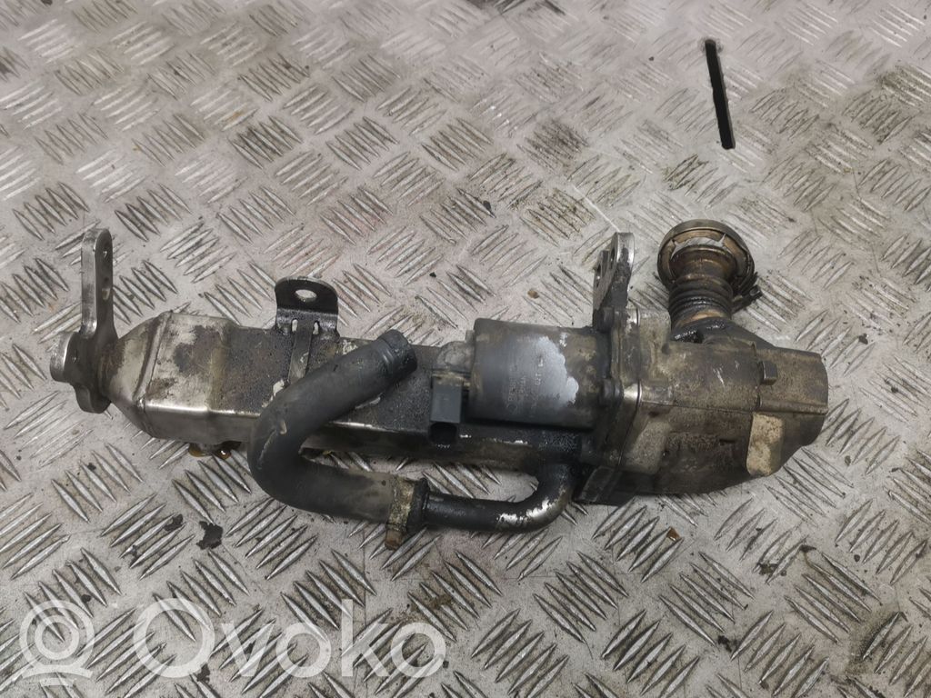 Volvo S80 Válvula EGR 