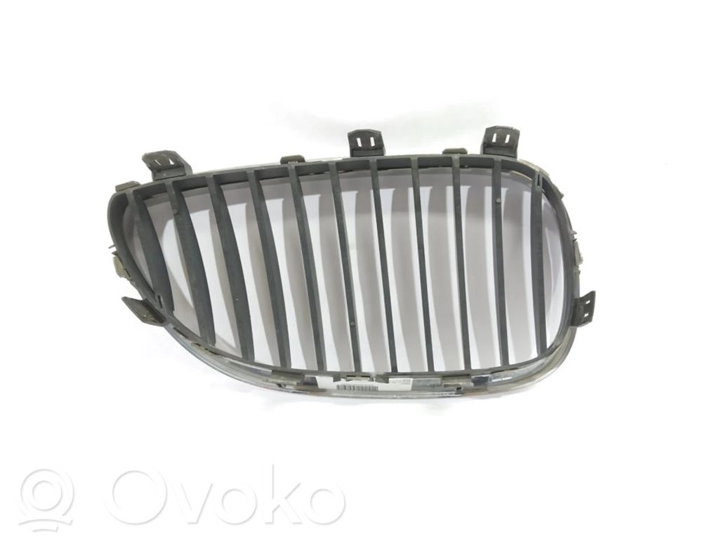 Front grill   10627110