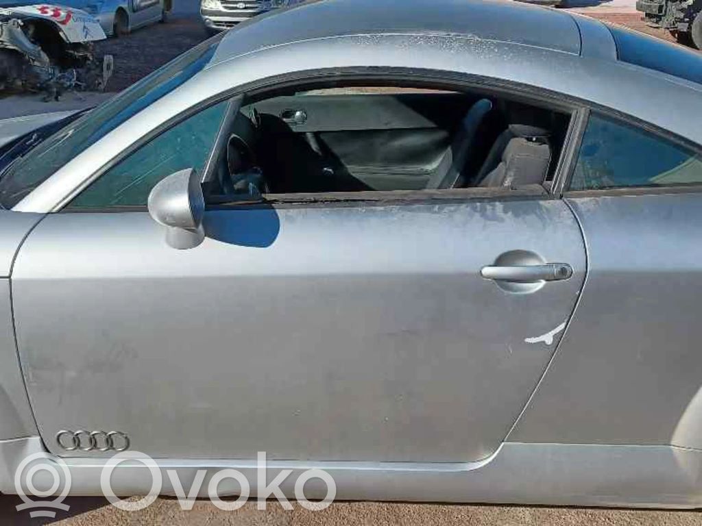 Audi TT Mk1 Front door 