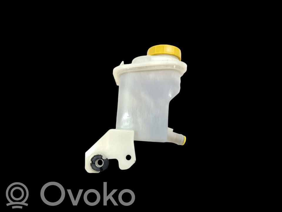 Fiat Qubo Ausgleichsbehälter Servopumpe 