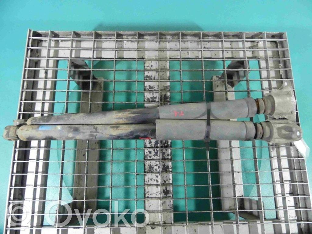 Stoßdämpfer hinten   313669,IMPRK1247643