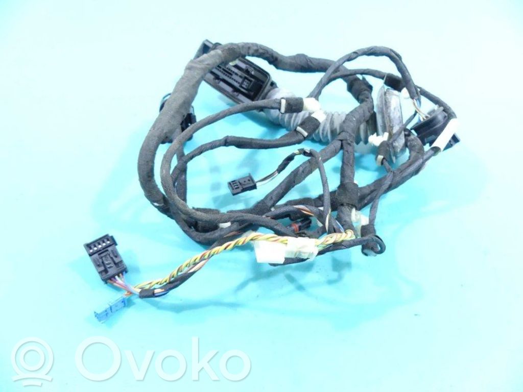 BMW X5 F15 Cableado de puerta trasera 