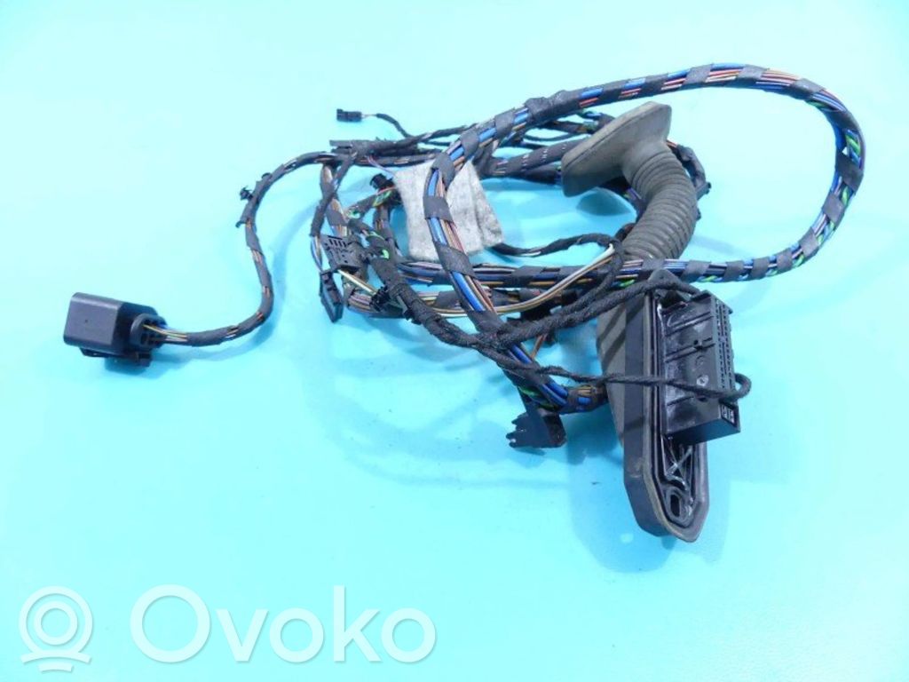 BMW X5 E70 Cableado de puerta trasera 