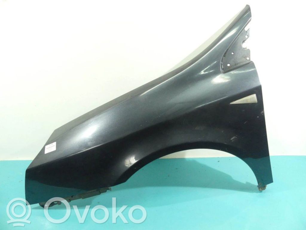Renault Vel Satis Sparnas 