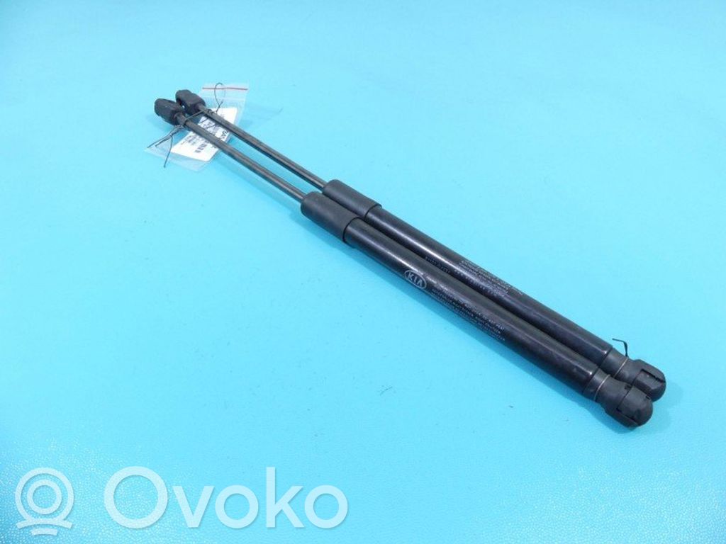 KIA Optima Ammortizzatore portellone anteriore/cofano