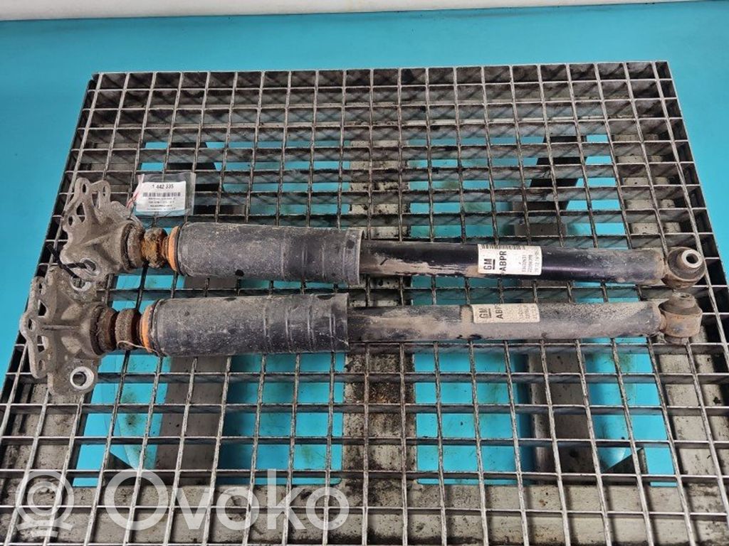 Stoßdämpfer hinten   13432671,IMPRK1442335