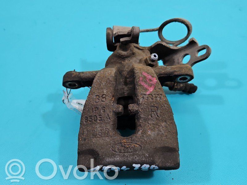 Takajarrusatula   IMPRK1504780