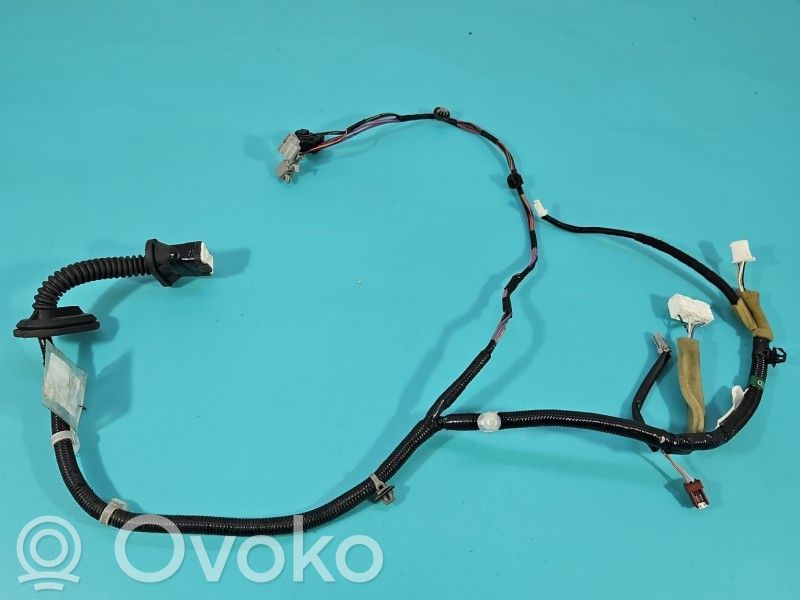Infiniti Q50 Cableado de puerta trasera 