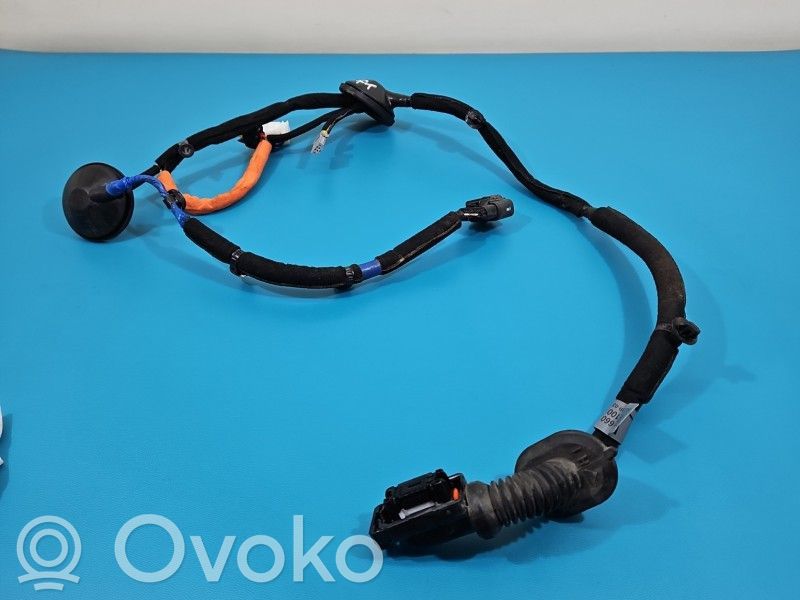 KIA Stinger Cableado de puerta trasera 