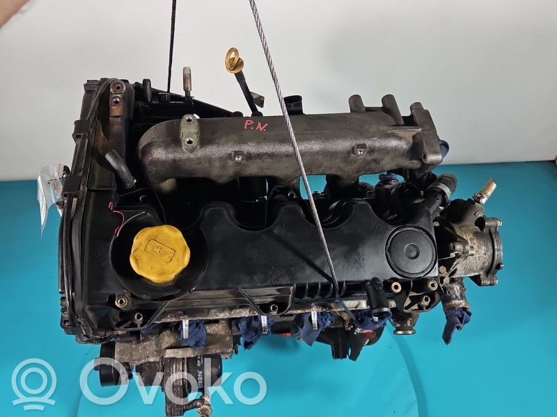 Fiat Bravo Motor 