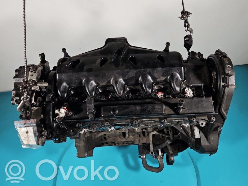 Двигатель   D5244,IMPRK1500151,D5244T