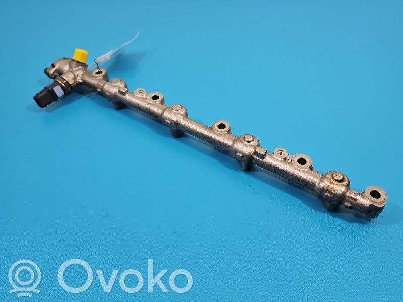 Lexus NX Fuel main line pipe 