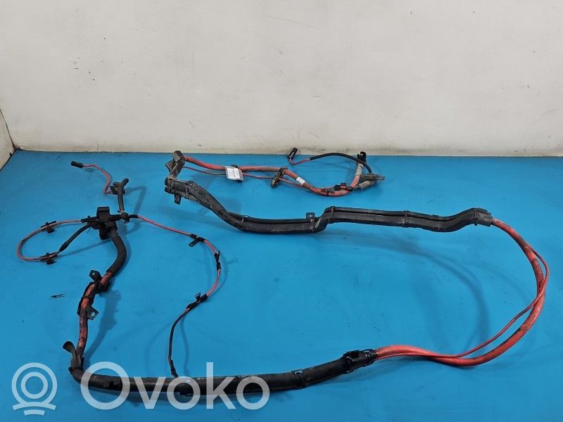 BMW X6 E71 Other wiring loom 