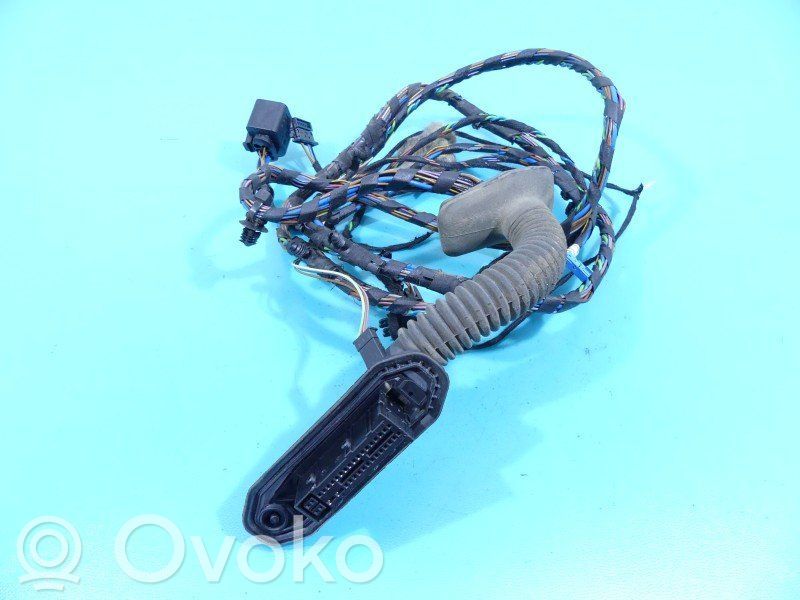 Cableado de puerta trasera   924355101,IMPRK1253491,9203115