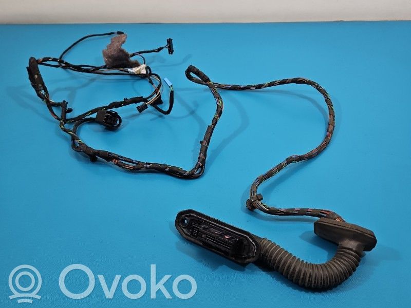 BMW X6 E71 Cableado de puerta trasera 