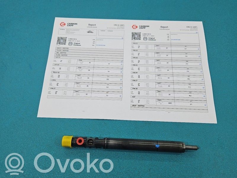 Citroen C3 Fuel injector 