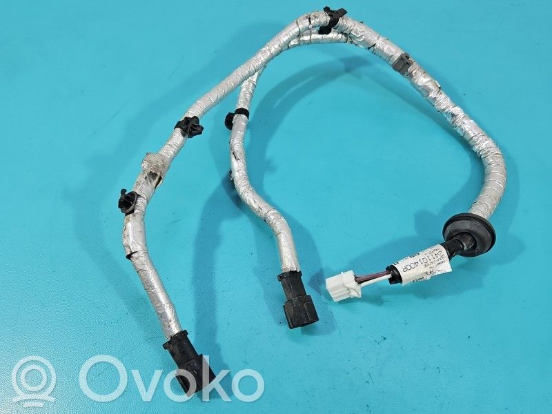 Renault Kadjar Otros cableados 