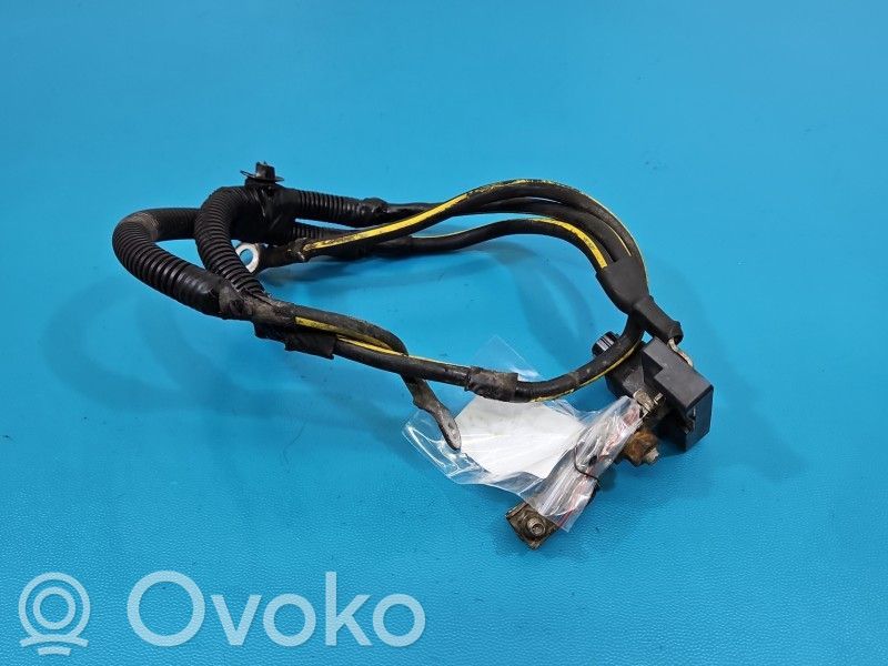 Minus / Klema / Przewód akumulatora   1314000552,IMPRK1589471,294G01JA0