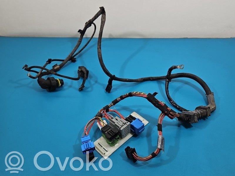 BMW X6 E71 Other wiring loom 