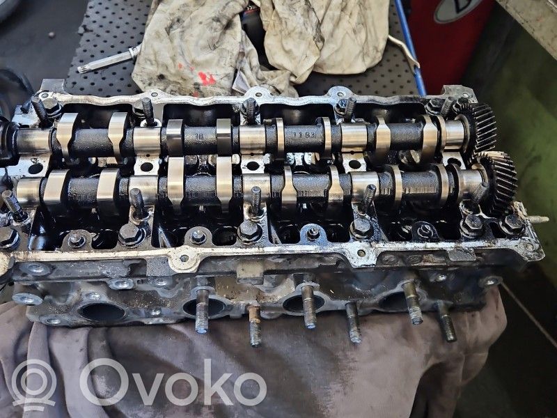 Engine head   A17DTE,IMPRK1587286,55576872