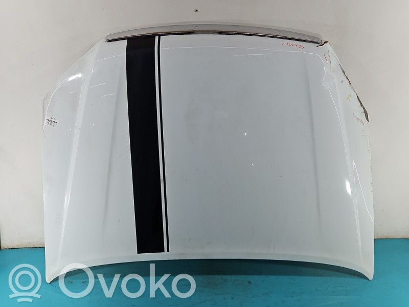 Motorhaube   IMPRK1362723