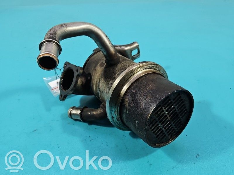 Skoda Octavia Mk3 (5E) Valvola di raffreddamento EGR 