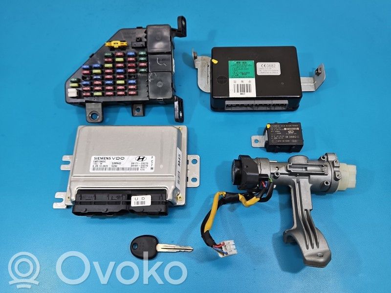 Hyundai Tucson JM Unité de commande, module ECU de moteur