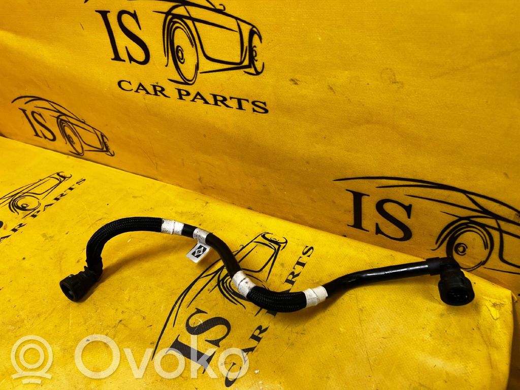 Engine coolant pipe/hose   149122576R